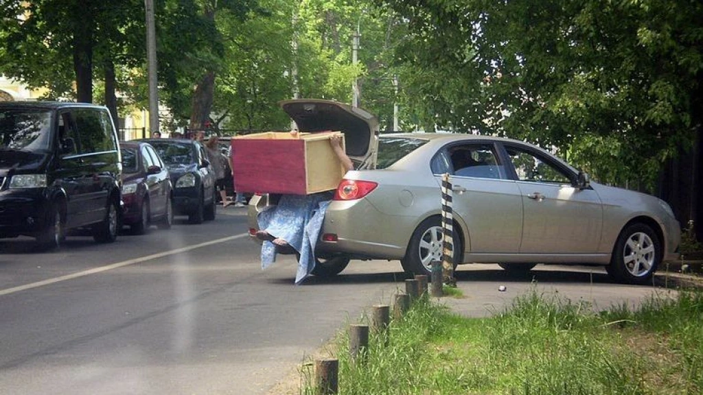 Впихнуть невпихуемое фото