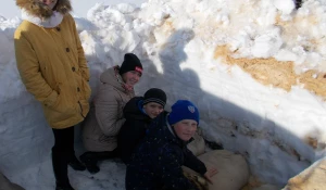 Алтайские лесоводы приступили к проращиванию семян сосны.