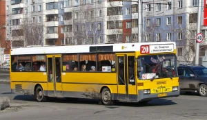 Автобус №20.