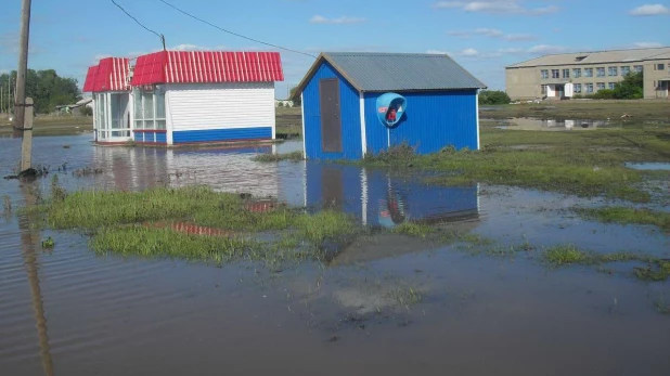 Кузнечиха, Шипуновский район.