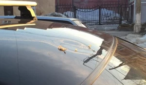 В Барнауле машине помяли крышу кочаном капусты.