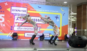 Торжественное открытие.