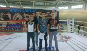 Чемпионат и первенство Сибирского федерального округа по смешанному боевому единоборству (ММА).