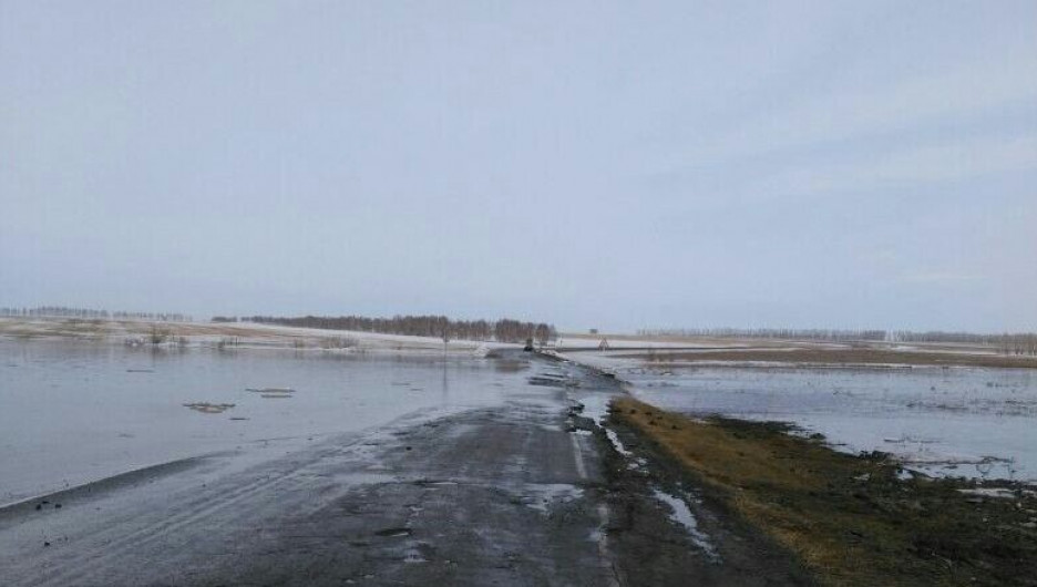 В Усть-Калманском районе река Ельцовка вышла из берегов. 30 марта 2017 года.