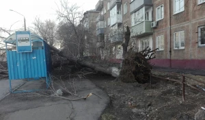Последствия штормового ветра в Барнауле.