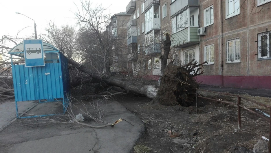 Последствия штормового ветра в Барнауле.