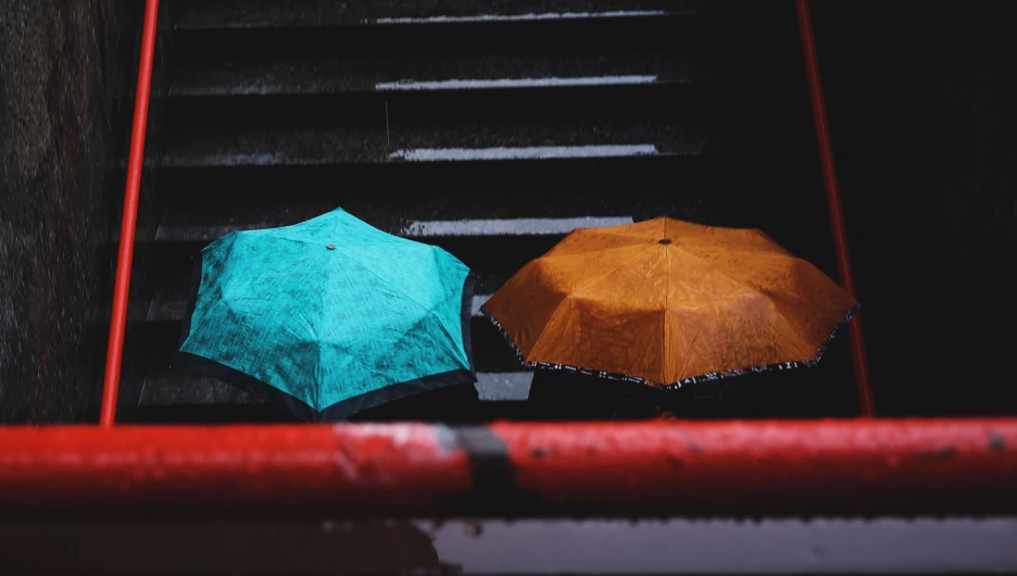 В Китае возмутились модным зонтиком за тысячу долларов, который пропускает воду