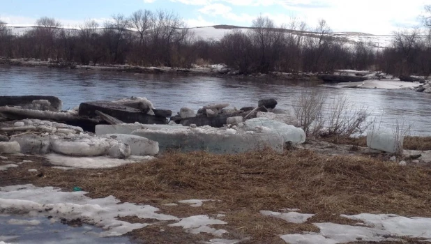 Паводок на реке Ануй. 
