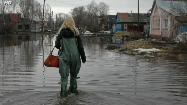 Прелести нашей весны.