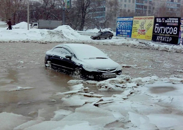 Прелести нашей весны.