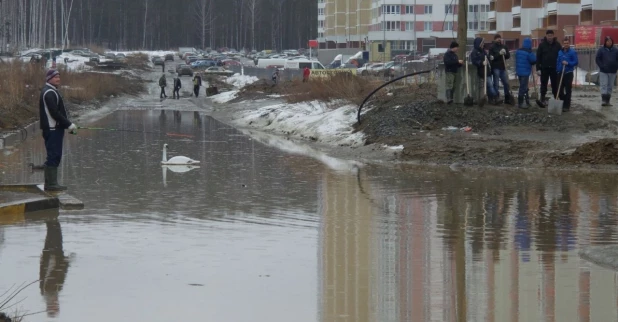 Прелести нашей весны.