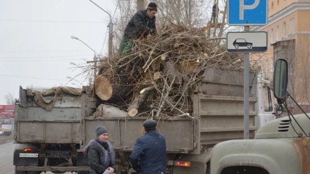 Санитарная вырубка деревьев на пр. Калинина.