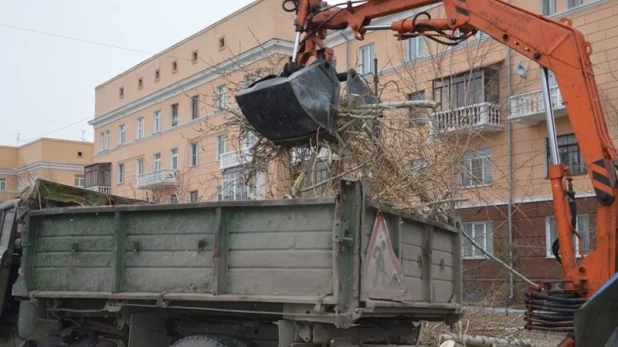 Санитарная вырубка деревьев на пр. Калинина.