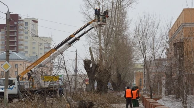 Санитарная вырубка деревьев на пр. Калинина.