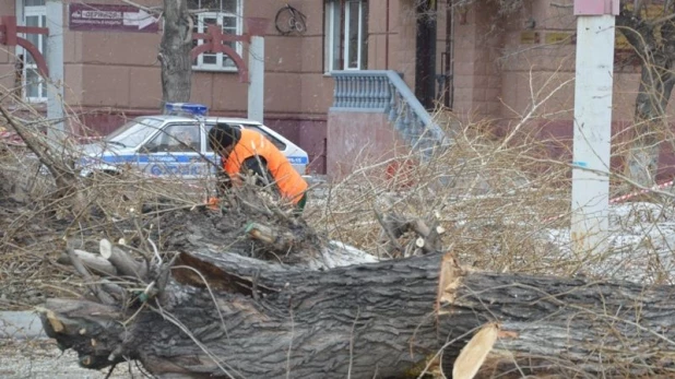 Санитарная вырубка деревьев на пр. Калинина.