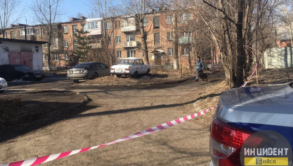 В Бийске под припаркованной машиной искали бомбу. 9 апреля 2017 года.