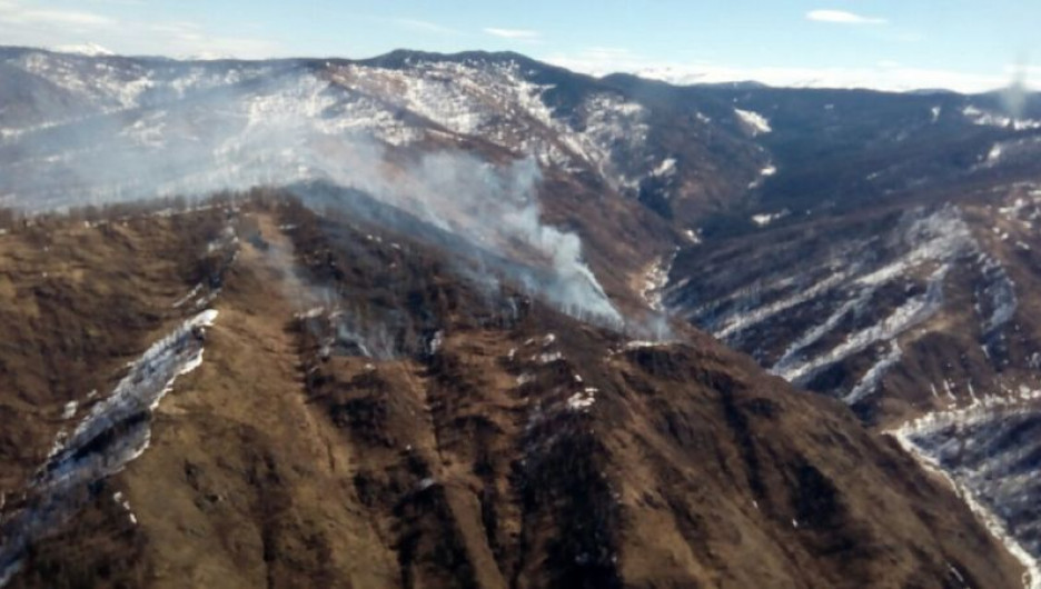 Лесной пожар в Республике Алтай.