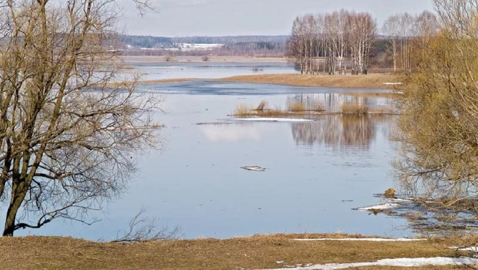 Как обстоят дела с паводком в Алтайском крае рассказали в МЧС