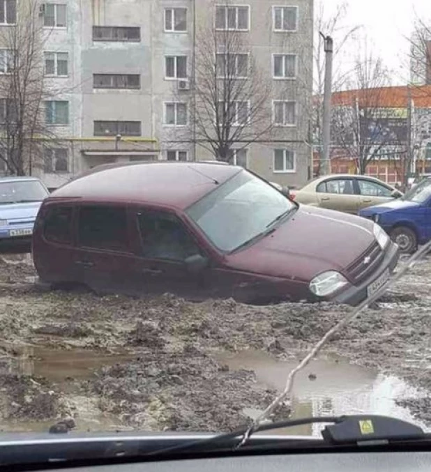 Вот она пришла весна.