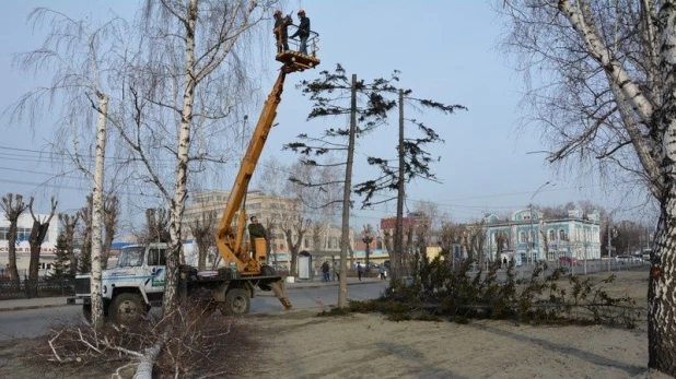 Вырубка старых деревьев на пр. Ленина.