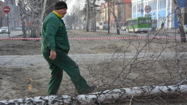 Вырубка старых деревьев на пр. Ленина.