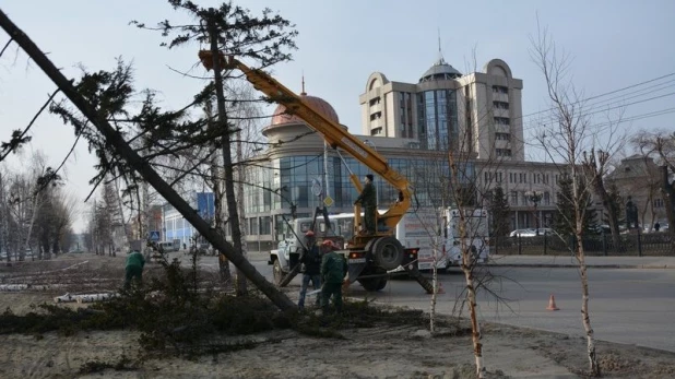 Вырубка старых деревьев на пр. Ленина.