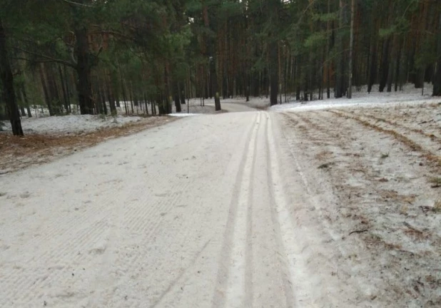 Барнаульцы продолжают кататься на лыжах даже в плюсовую температуру