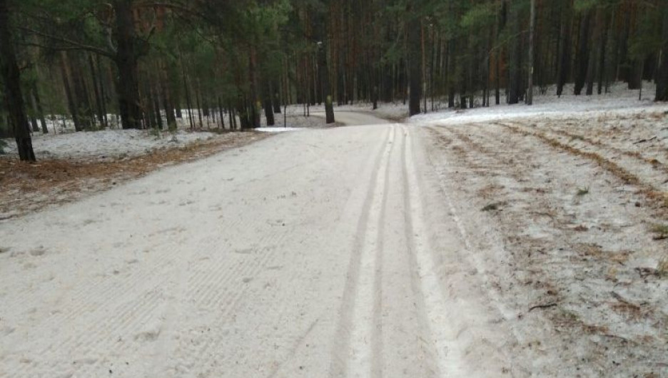Барнаульцы продолжают кататься на лыжах даже в плюсовую температуру