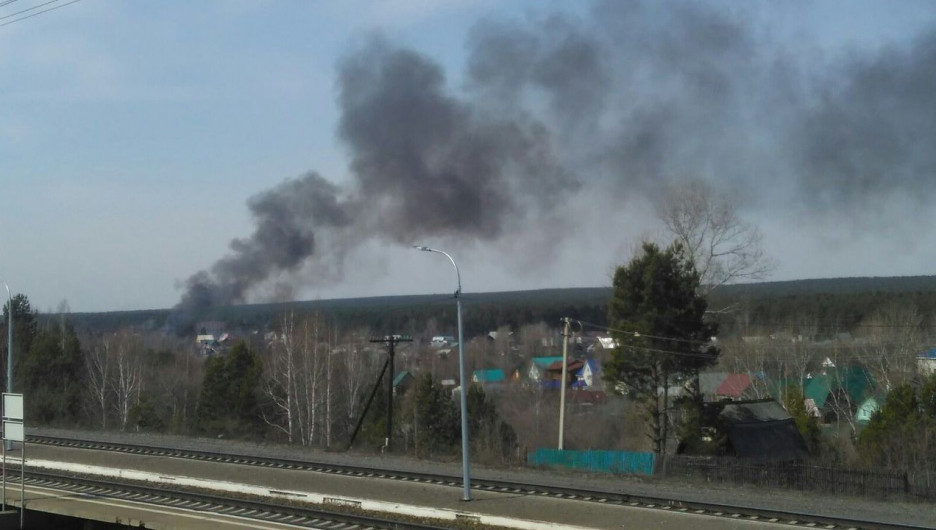 Пожар в Борзовой Заимке.