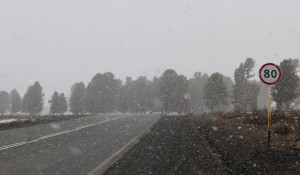 Снег и метель в Горном Алтае.