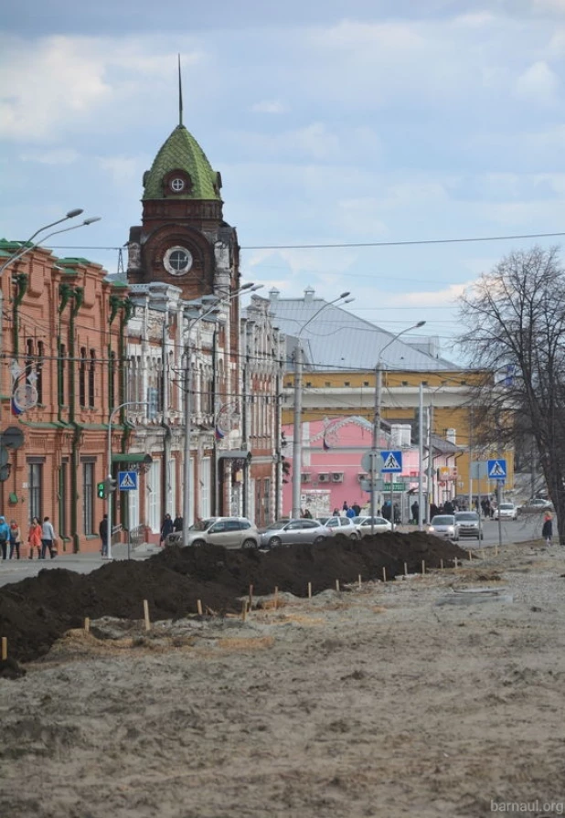 На проспекте Ленина высаживают новые березы.