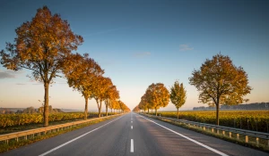 Дорога. Зелень. Тепло.