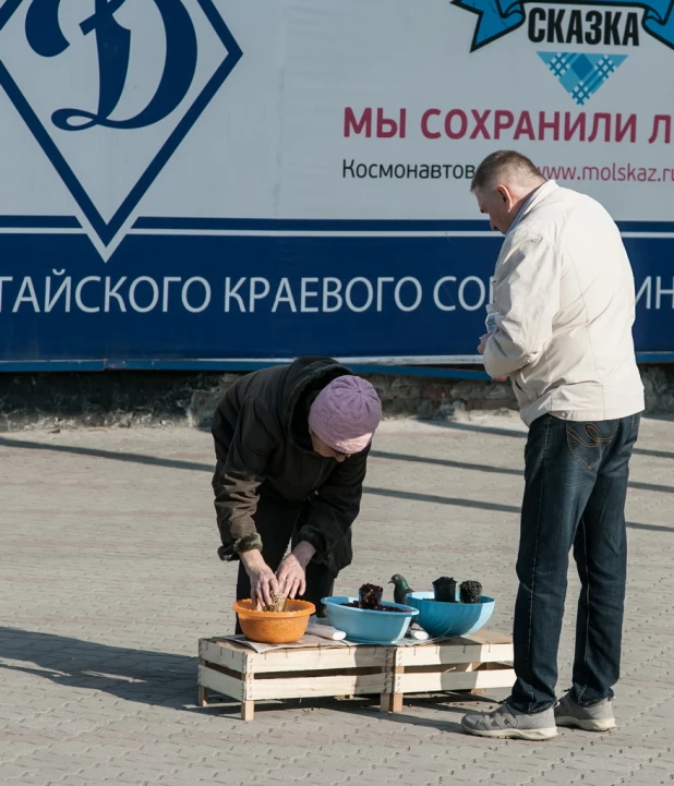 Барнаульское "Динамо" провело первый домашний матч в этом году 