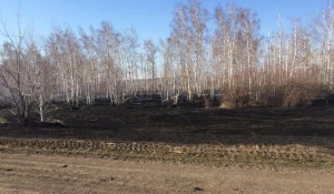 Лесной пожар в Хабарском районе