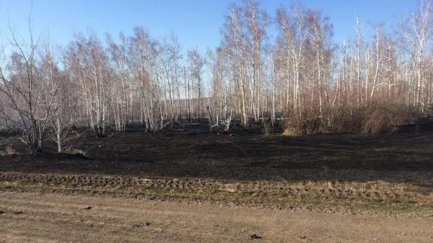 Лесной пожар в Хабарском районе