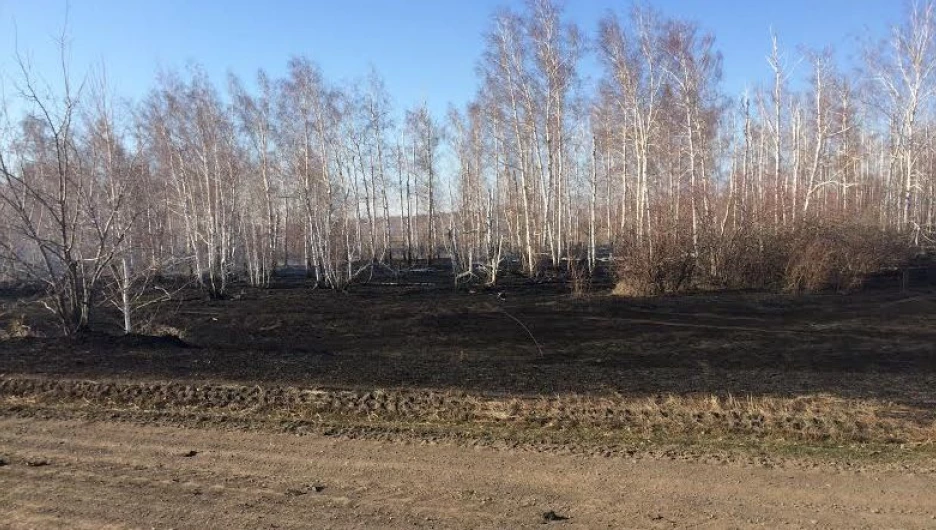 Лесной пожар в Хабарском районе