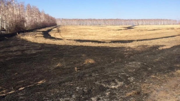 Лесной пожар в Хабарском районе