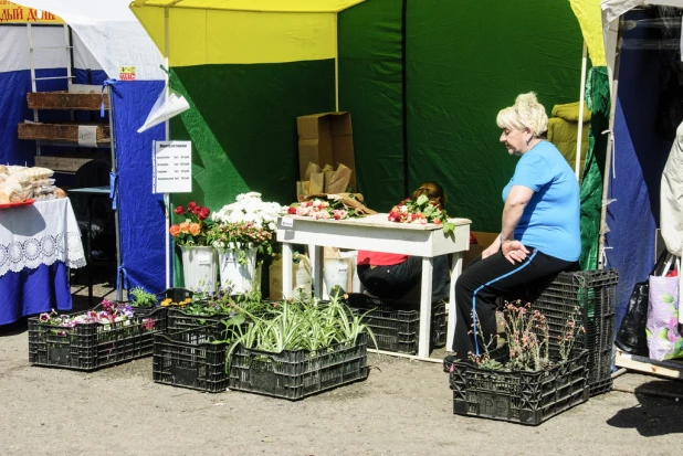 Родительский день в Барнауле. Власихинское кладбище