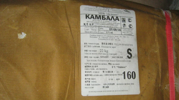 Камбала.