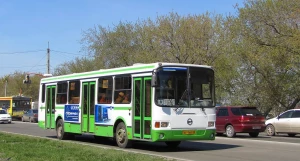 Маршрут №113.