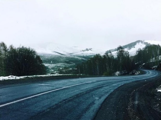 Первомайский снег на Алтае.