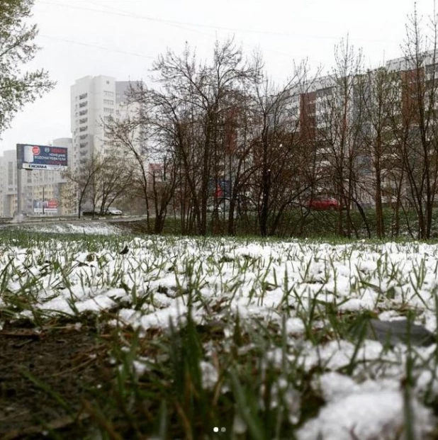 Первомайский снег на Алтае.