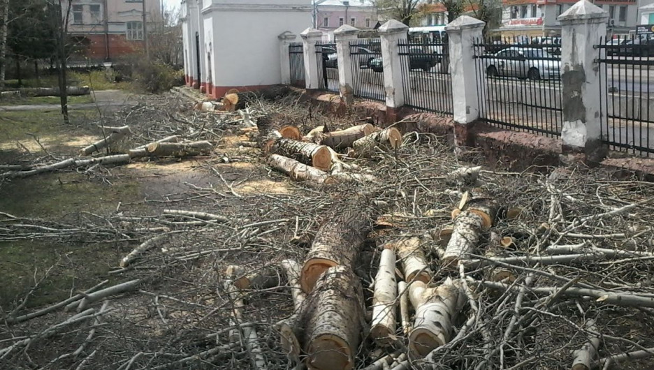 В Центральном парке спиливают старые деревья. Барнаул, 4 мая 2017 года.