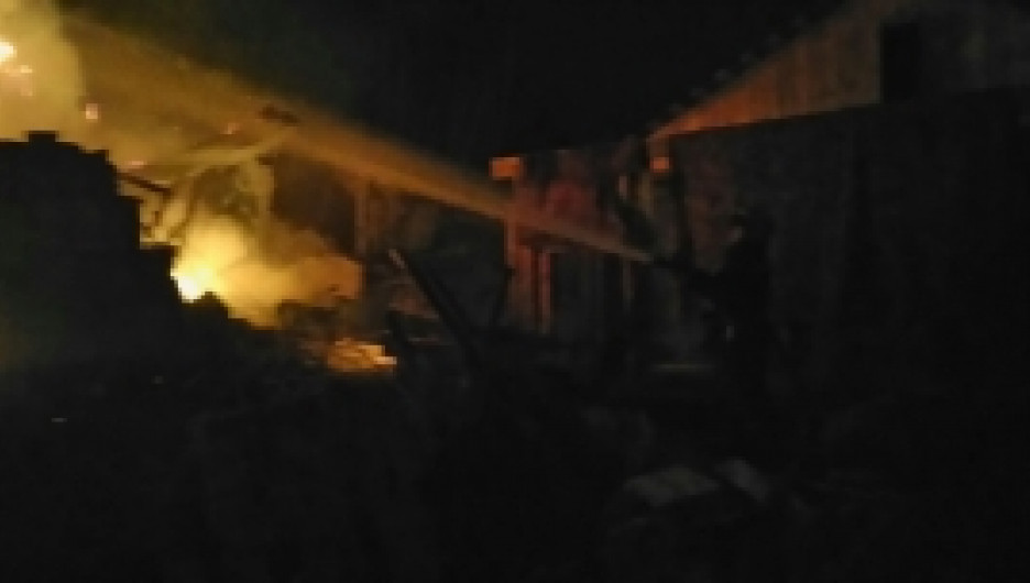 Пожар в Борзовой Заимке. 5 мая 2017 года.