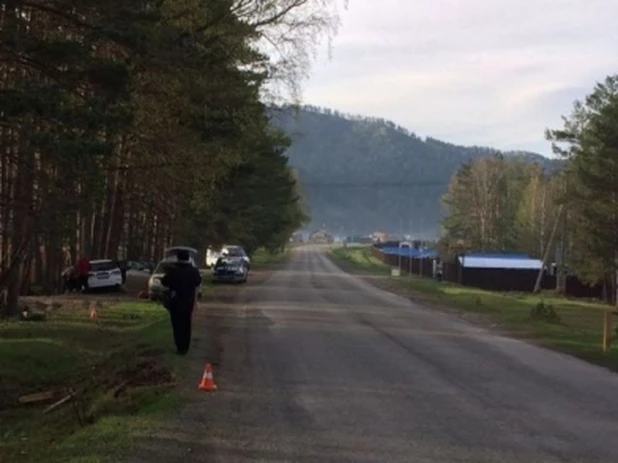 На Алтае иномарка врезалась в дерево