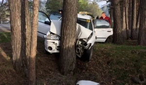 Иномарка врезалась в дерево.