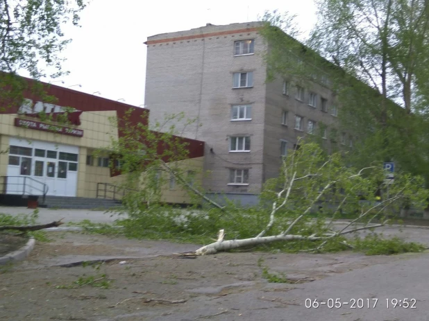 Последствия ураганного ветра в Барнауле