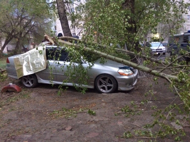 Последствия ураганного ветра в Барнауле