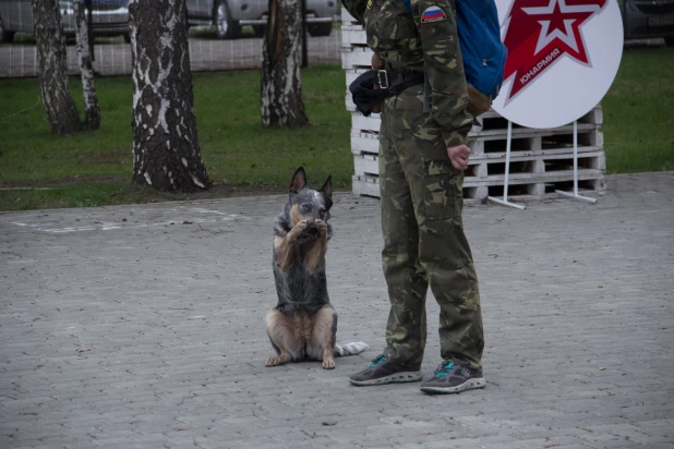 В Барнауле прошел военно-патриотический праздник "Моя Победа"