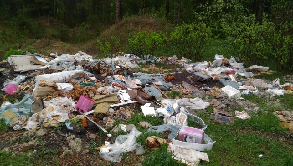 Свалка в районе Борзовой Заимки